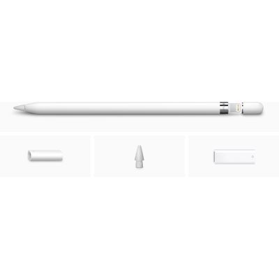 ������ Apple Pencil (1st Generation), Model A1603 (MYQW3ZM/A) - �������� 4