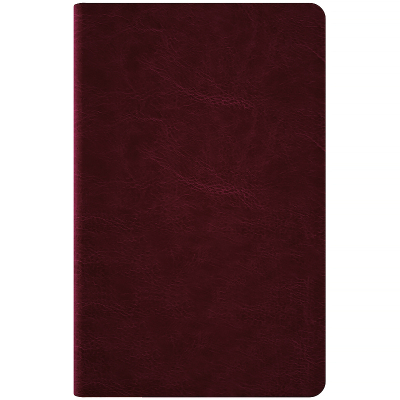 �������� Axent ��������� 2026 Partner City Soft 125�195, ���������� (8521-26-05-A) - �������� 4