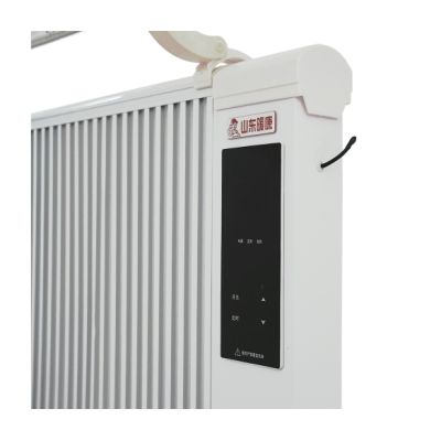  Voltronic NK-TXW600 -  3