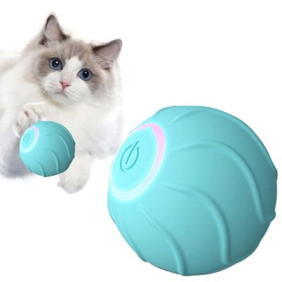    Lapka  - (LPK-31) -  4