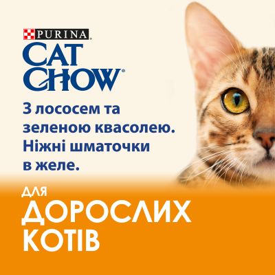 ������� ���� ��� ����� Purina Cat Chow Adult � ������� � ������� ������� 85 ��10 �� (7613036596039) - �������� 4