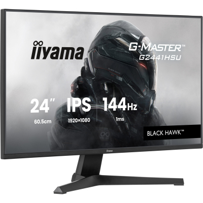 ������� iiyama G2441HSU-B1 - �������� 2
