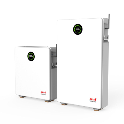 ������� ��� ��� ������� LiFePo4 Must LP28-48100 51.2V - 100Ah (LP28-48100) - �������� 2