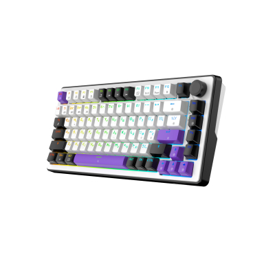 ���������� Hator Hellyberry HK75 Mechanical Linear RGB Wireless/Bluetooth/USB UA White/Violet (HK75_wireless) - �������� 3