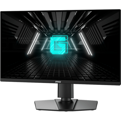 ������� MSI G255PF-E2 - �������� 3