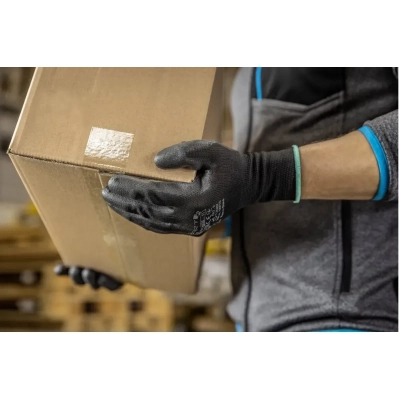 ������� �������� Hoegert JAGST HT5K756-9 � ������������� ��������� �����, 9 (HT5K756-9) - �������� 3