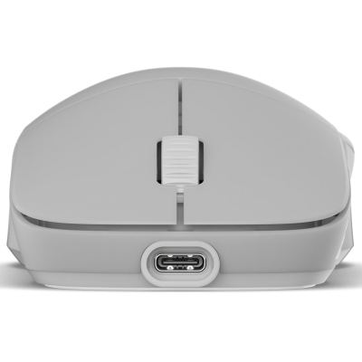 ����� Endgame Gear XM2w 4k v2 Wireless Transparent White (PGW-EG-MOU-082) - �������� 7