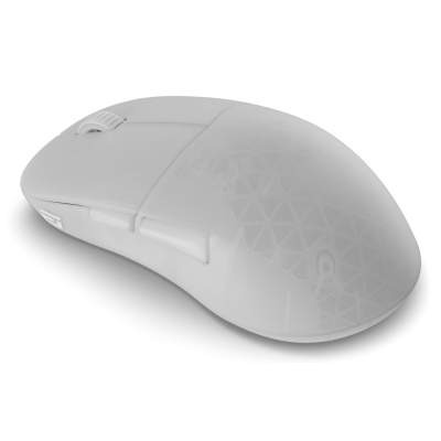 ����� Endgame Gear XM2w 4k v2 Wireless Transparent White (PGW-EG-MOU-082) - �������� 1