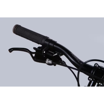 ��������� Formula 24" F-1 DD ����-11" AL 2026 ������-������������ (OPS-FR-24-451) - �������� 7