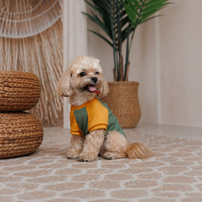 �������� ��� ������ Pet Fashion Kent XS2 (4823082446162) - �������� 3