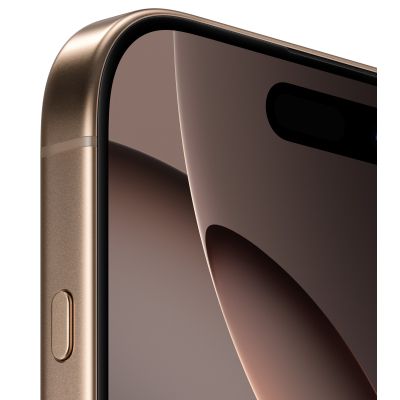 ��������� ������� Apple iPhone 16 Pro 256GB Desert Titanium (REF A) BREEZY (2AMYNK3) - �������� 4