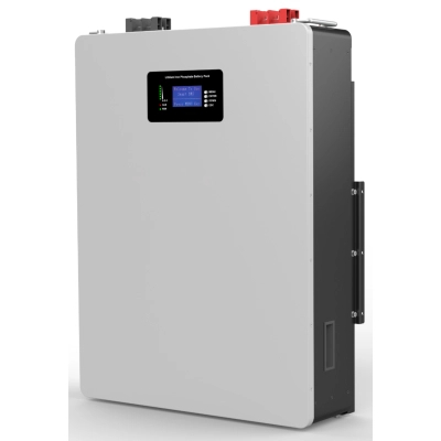 ������� ��� ��� ������� LiFePo4 SVC 51.2V 100Ah 5120Wh, W�F� (FBP48-100) - �������� 2