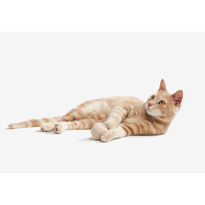 ������� ��� ���� Cheerble Wicked Ball M3 (Apricot Beige) (CWQ02A) - �������� 11