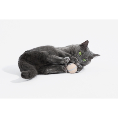 ������� ��� ���� Cheerble Wicked Ball M3 (Apricot Beige) (CWQ02A) - �������� 7