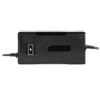 ������� �������� ���������� ��� ��� LogicPower LiFePO4 12V (14.6V)-12A-144W (14579) - �������� 1