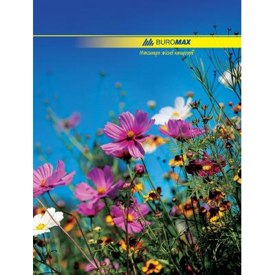 ������������ ����� �4, 96�, NATURE Buromax (BM.2400) - �������� 1