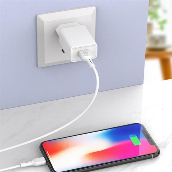 �������� ���������� SkyDolphin SC36V (1USB, 2.4A) White (SDMZP-000118) + ������ microUSB - �������� 2