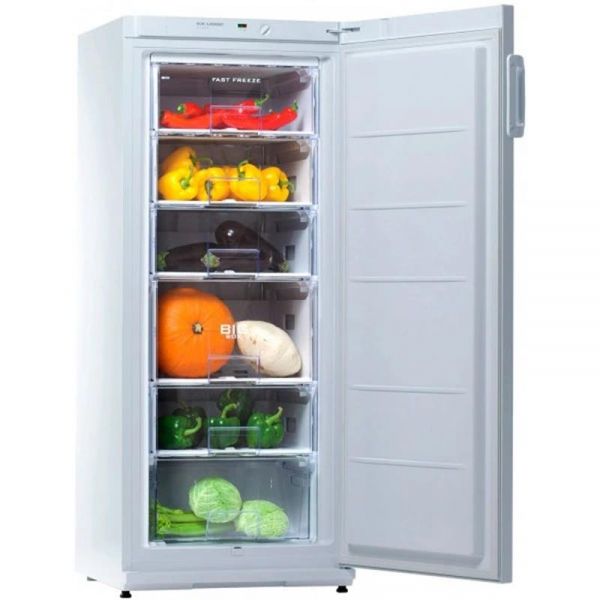 ����������� ������ Snaige F22SM-T1000E - �������� 3