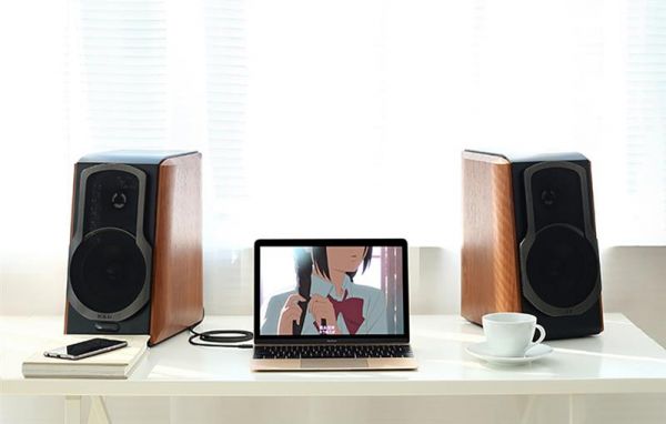 ������ ������������� AUX 3.5mm TRS to RCAx2 M/M 1.0m AV102 Black Ugreen (10772) - �������� 3