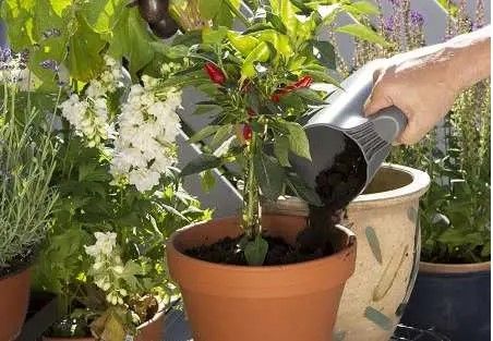 �������� ������� ����������� Gardena Classic Ergo (���.8950, 8754, 11511) � ������ (08966-30.000.00) - �������� 6