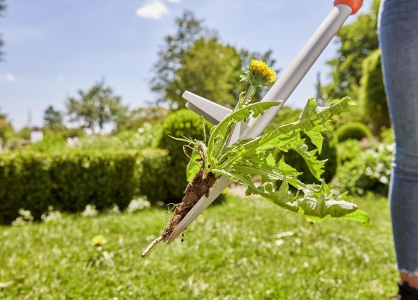 ���������� Gardena ��� �������� �������� (03518-20.000.00) - �������� 10