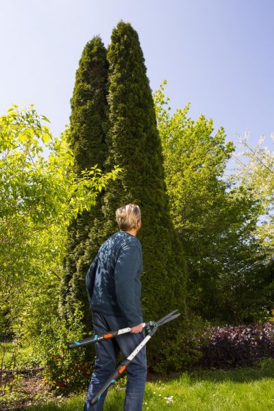 ������� ��� ����� �������� Gardena TeleCut ��������������� (12304-20.000.00) - �������� 8