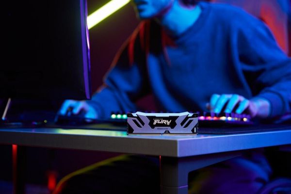 ������ ������ DDR5 2x48GB/6400 Kingston Fury Renegade Silver (KF564C32RSK2-96) - �������� 11