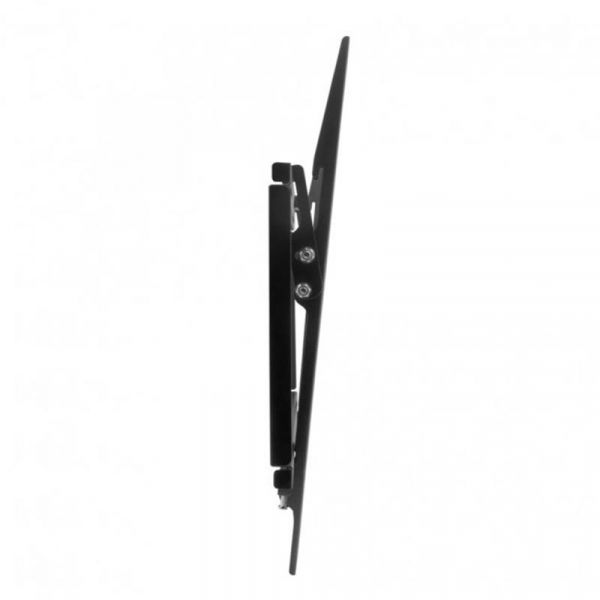 � ��������� ACCLAB AL-FR60T (1283126485817SG) (VESA600�400) - �������� 2