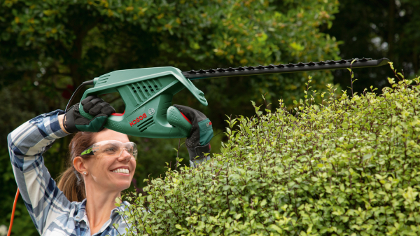 ������ Bosch EasyHedgeCut 55 450�� 55�� ���� ��� 16�� 2.7��(0.600.847.C02) - �������� 2