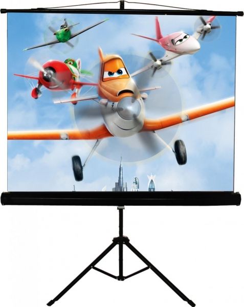 ����� �������� � ��������� Walfix 120" SNT-4 (180*240, 4:3) - �������� 1