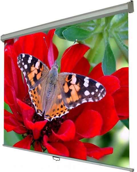 ����� �������� ������ Walfix 72" SNM-1 (110*145, 4:3) - �������� 1