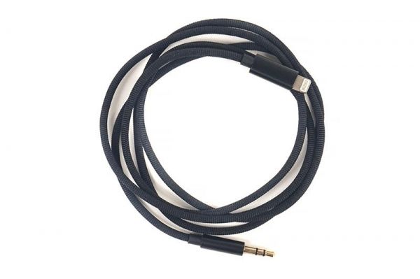 ���������� Lightning to AUX (M) PowerPlant (CA910533) - �������� 1