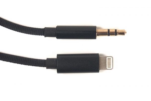 ���������� Lightning to AUX (M) PowerPlant (CA910533) - �������� 2