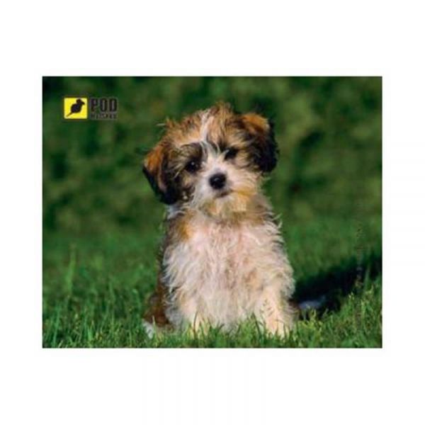 ������ ��� ���� Podmyshku �������� ����� - �������� 1