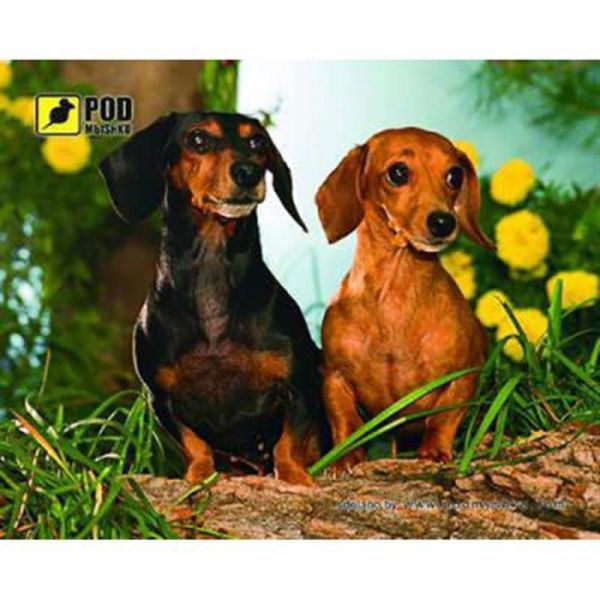 ������ ��� ���� Podmyshku ����� - �������� 1