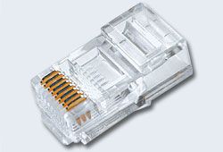 ��������� RJ45 ( 100 ��/��) - �������� 1