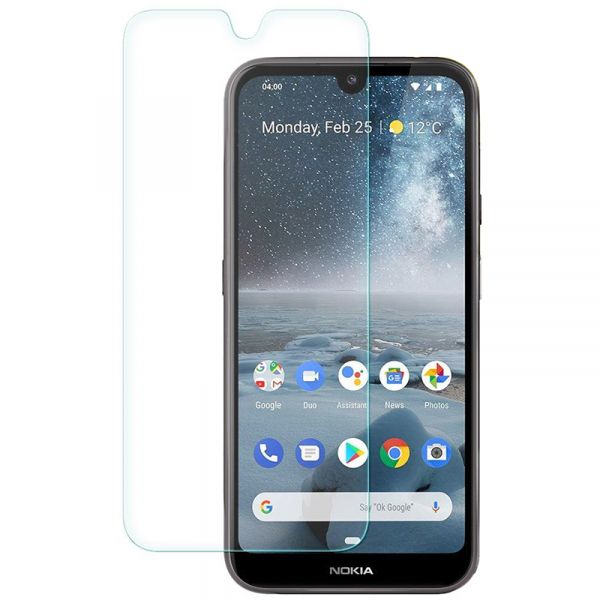 ���� ������� PowerPlant Nokia 4.2 (GL607372) - �������� 1