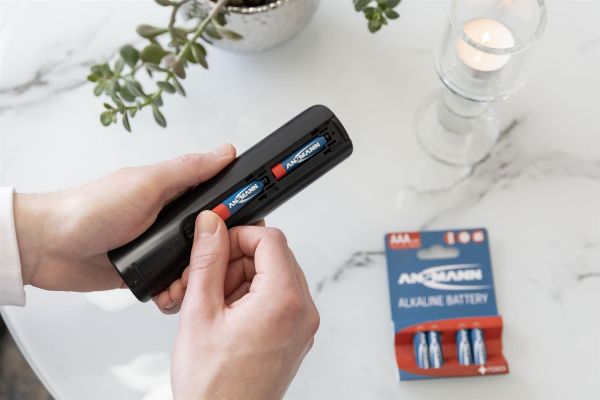 ��������� Ansmann AAA/LR03 BL 4�� - �������� 8