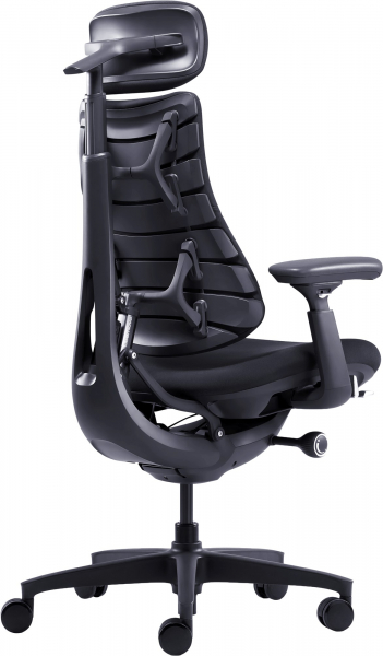 ����� ������ LiberNovo Omni Midnight Black 48 �� (CP-GW-0000015-00-01) - �������� 3