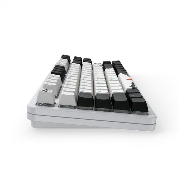 ��������� Dark Project ALU87 Fuji V2 (DPKB_FUJI_87_ANSI_UA) - �������� 3
