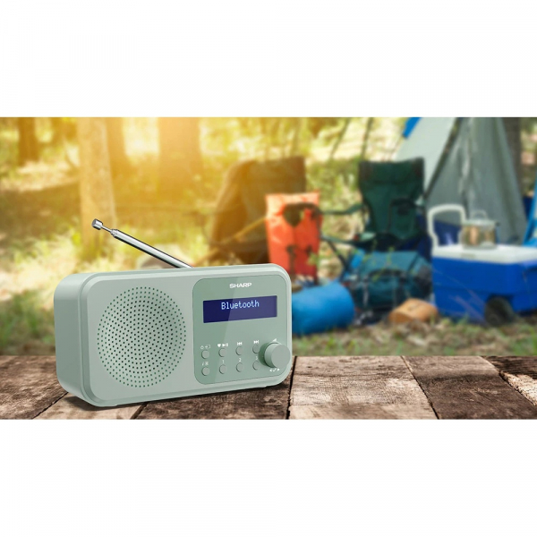 ����������� Sharp DR-P420 Green (DR-P420(GN)) - �������� 2