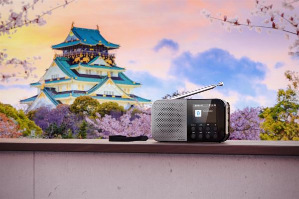 ����������� Sharp DR-P520 Grey (DR-P520(GY)) - �������� 9