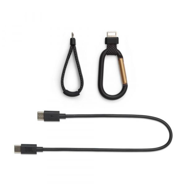 ������������ ������� JBL Flip 7 Tomorrowland (JBLFLIP7TML) - �������� 5