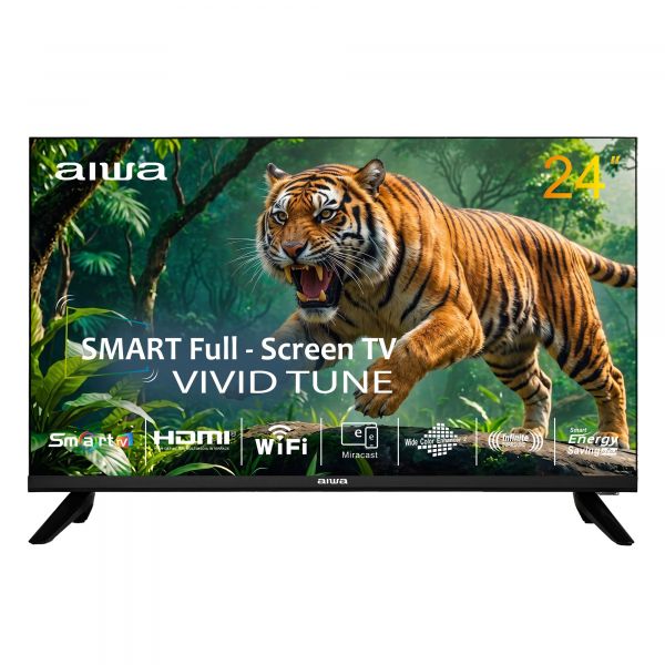 ��������� Aiwa JH24DT180S - �������� 1