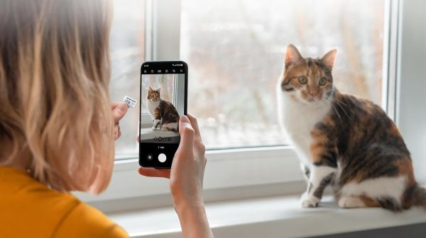 ����� ������ MicroSDXC 64GB UHS-I/U3 Class 10 Samsung Evo Plus R160MB/s + SD-������� (MB-MC64SA/EU) - �������� 5