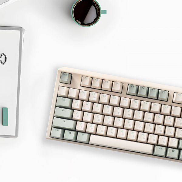 ��������� Ducky One 3 Cherry MX Speed Silver UA USB Matcha Cream (DKON2108-PUAPX�AEGGC1) - �������� 15