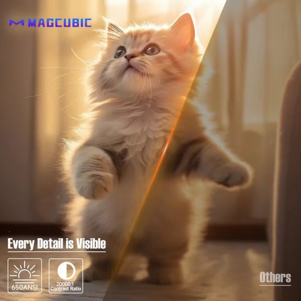 �������� Magcubic L018 - �������� 5