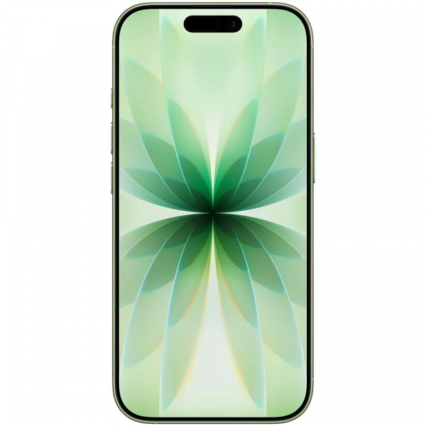 �������� Apple iPhone 17 256GB Sage (MG6N4AF/A) - �������� 2