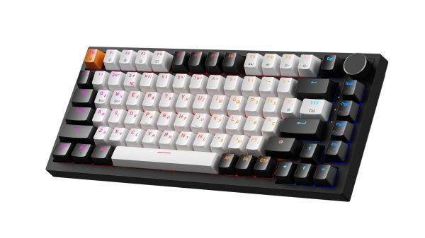 ������� �������� ��������� Asgard Valhalla MAX (MK160B MAX) 75% Magnetic switches - �������� 2