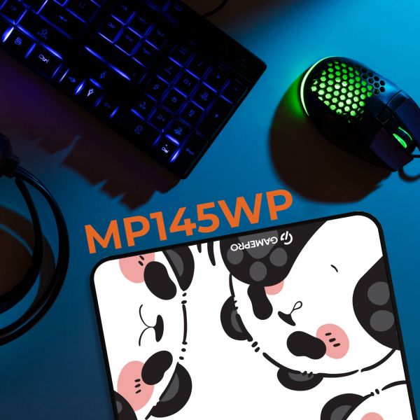 ������� ��� ���� ������ �������� GamePro (MP145WP) - �������� 3